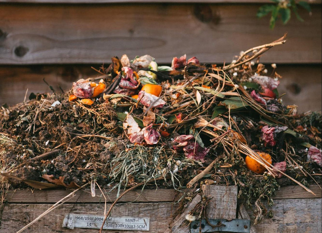 How To Compost